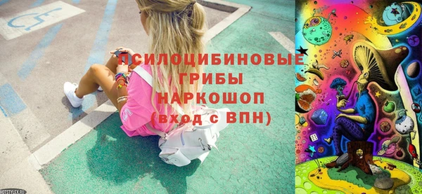 стафф Струнино